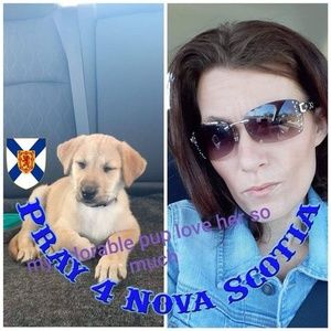 Meet your Posher, Dawn